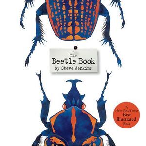 The Beetle Book -- Steve Jenkins